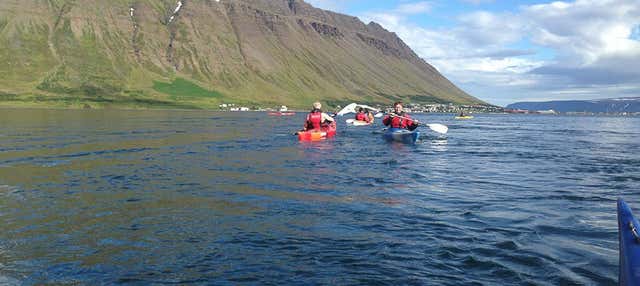Tour de bicicleta e caiaque pelos Westfjords
