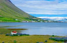 Tour pelos Westfjords para cruzeiros